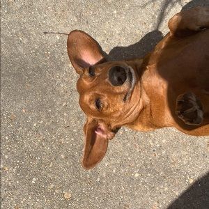 Meet your Posher, Haley